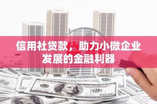 肥东信用社贷款，助力小微企业发展的金融利器