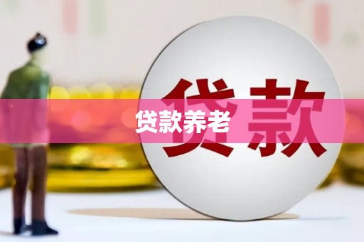 肥东贷款养老