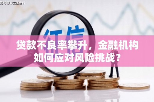 肥东贷款不良率攀升，金融机构如何应对风险挑战？