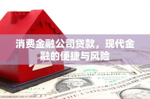 肥东消费金融公司贷款，现代金融的便捷与风险