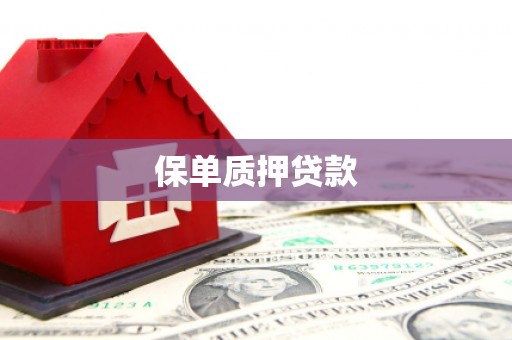 肥东保单质押贷款