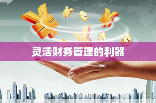肥东灵活财务管理的利器