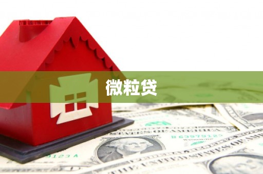 肥东微粒贷