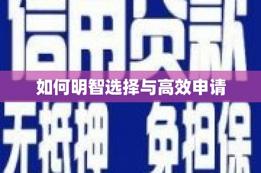肥东如何明智选择与高效申请