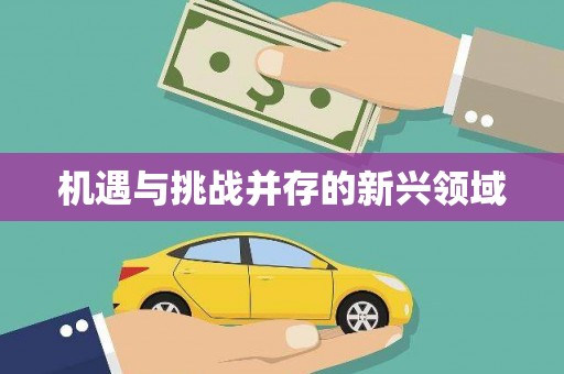 肥东机遇与挑战并存的新兴领域