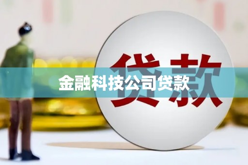 肥东金融科技公司贷款
