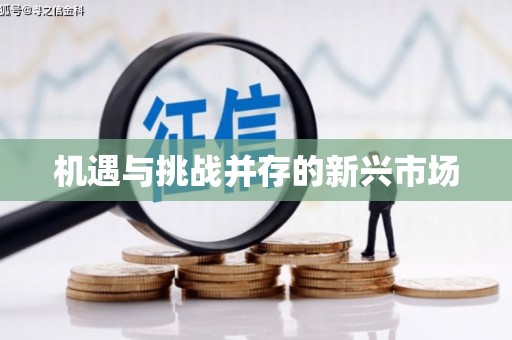 肥东机遇与挑战并存的新兴市场