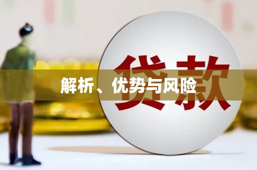 肥东解析、优势与风险
