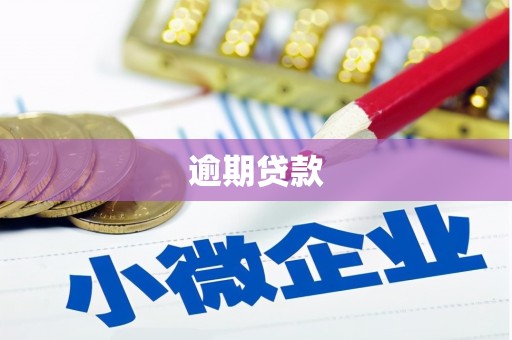 肥东逾期贷款