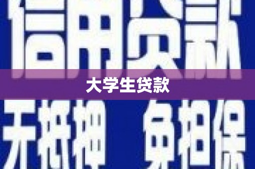 肥东大学生贷款
