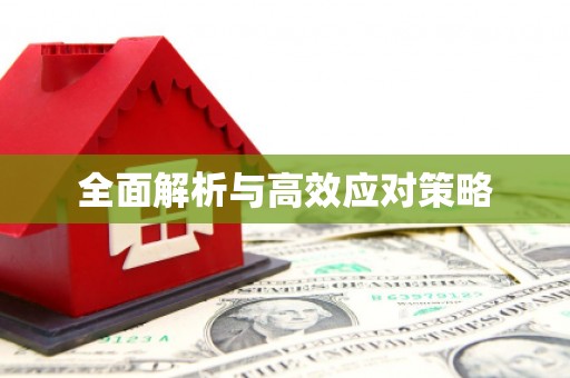 肥东全面解析与高效应对策略