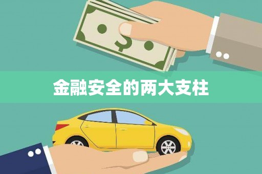 肥东金融安全的两大支柱
