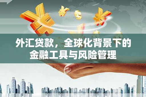 肥东外汇贷款，全球化背景下的金融工具与风险管理