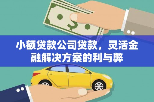 肥东小额贷款公司贷款，灵活金融解决方案的利与弊